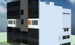 Clínica . Categoría II-1